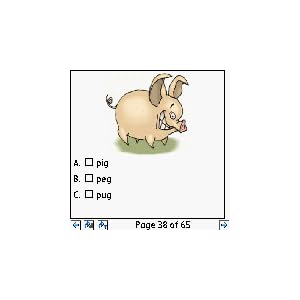 Mobile Language Arts Module (5-6yrs.) downloadable Software