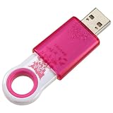 SANDISK CRUZER FLEUR 4GB