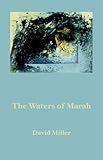 The Waters of Marah : selected prose 1973-1995