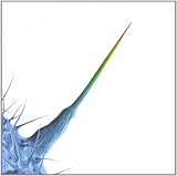 And I'll Scratch Yours