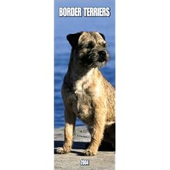 Border Terriers Slimline Wall Calendar: 2004