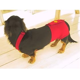 �A�b�v���P�T�j�^���[�p���c(�R�[�M�[�p�A�T�C�Y:CS�A�J���[:3/�A�J) 61-10610-C