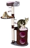 Eigenschaften Karlie  / Kratzbaum KITTIDAS IV 60 x 43 x 148cm braun/rosa #34587