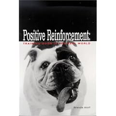 Positive Reinforcement: Training Dogs in the Real World