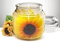 18oz Sunflower Gel Candle