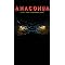 Movies About the Amazon