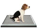 UGODOG Indoor Dog Potty