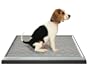 UGODOG Indoor Dog Potty