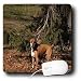 boxer22 - Mirmak Animals Boxer Asena Mouse Pads