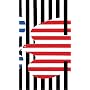 Paul Rand: Modernist Designer