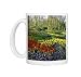 Photo Mugs of Flowering bulbs on display at the Keukenhof Gardens in Lisse, Holland, Europe from Robert Harding