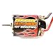 Reedy Mini Mod 19T Modified Motor