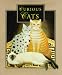 Book Curious Cats