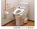 トイレリフト アームレストなしタイプ/EWC140R: ●サイズ/(斜め昇降時)幅52.6×奥行55.4~60.9×高さ32.9~54.7cm、(垂直)幅52.6×奥行55.4~56.6×高さ32.9~45.3cm<br />●重量/20kg<br />●材質/鋼板塗装仕上げ<br />●カラー/本体:ペールホワイト、ア...