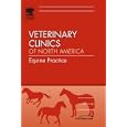 Advances in Diagnosis and Management of Infection, An Issue of Veterinary Clinics: Equine Practice... by  Louise L. Southwood