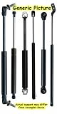 Lift Supports Depot