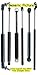 Bradley GT GT 1979 79 / Measure Your Units Before Ordering / Gullwing / Lift Supports...