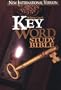 Hebrew Greek Key Word Study Bible
