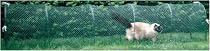 Kittywalk Outdoor Net Cat Enclosure for Lawns