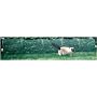 Kittywalk Outdoor Net Cat Enclosure for Lawns
