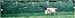 Kittywalk Outdoor Net Cat Enclosure for Lawns