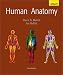 Human Anatomy Update (3rd Edition)