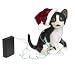 Tom Foolery Mischievous Kitten