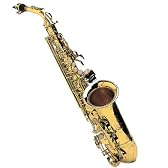 Heinrich ヘインリッチ アルトサックス 初心者13点セット HAL75 GD ジャズに最適