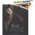 Spirit Horses