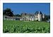 M. Rock - Chateau D'Yquem Sauternes France Size 27x20 - M. Rock Art Print Poster 27 x...