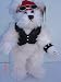 418DkMCgJXL. SL75  Reviews Plush Motorcycle Biker Teddy Bear 8 Inches Tall, Jointed Stuffed Animal Toy, Boy and Girl, 2 Pcs Set