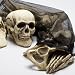Bag Of Bones Decorations