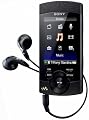Sony Walkman NWZS 544 MP3-/Video-Player 8 GB (6,1 cm (2,4 Zoll) Farb-Display, UKW Radio, Mikrofon, USB 2.0) schwarz