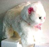 VALENTINE Plush Persian Cat with plush heart - I LOVE YOU