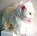   - VALENTINE Plush Persian Cat with plush heart - I LOVE YOU