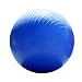 All Products : Blue 65 cm Puncture Resistant Exercise Ball with Hand Pump