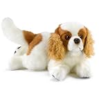 Anima - Anima - peluche cavalier king charles 27 cm