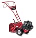 Troy-Bilt 21A-630C766 Tuffy 4 HP Rear Tine Tiller