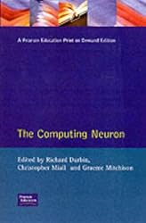 Computing Neuron (Computation and Neural Systems Series)