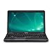 Toshiba Satellite A665D-S6051 LED TruBrite 16-Inch Laptop (Black)