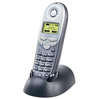 Siemens 4200 Gigaset 2.4 GHz Supplementary Handset (Silver and Black)