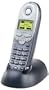 Siemens 4200 Gigaset 2.4 GHz Supplementary Handset (Silver and Black)