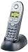 Siemens 4200 Gigaset 2.4 GHz Supplementary Handset (Silver and Black)