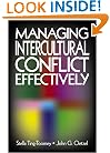 Managing Intercultural Conflict Effectively (Communicating Effectively in Multicultural Contexts)