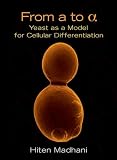 From a to alpha: Yeast as a Model for Cellular Differentiation