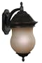 Kenroy Home 80542GBRZ Repartee One-Light Large Wall Lantern with 9-Inch French Scavo Glass Shade