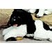 Plüti 1623-090-341 - Landseer, liegend, weiß/schwarz - 90 cm