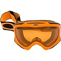 Oakley Ambush Goggle