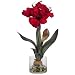 Amaryllis w/Round Vase