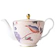 Wedgwood Harlequin Cuckoo Tea Story 12-1/2-Ounce Teapot